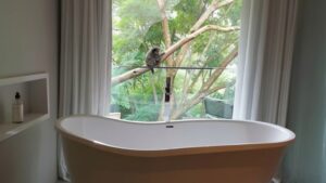 Hospitalidade sustentável integrada à natureza em experiência de turismo consciente