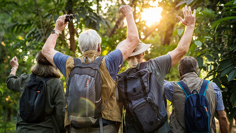 Blog Ambiental • Grupo em experiência de turismo regenerativo na Mata Atlântica
